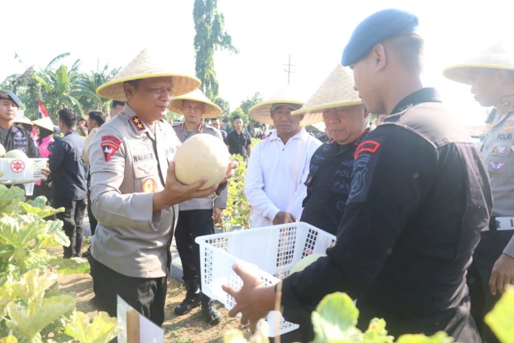 Brimob Polda Jatim Panen Melon dan Semangka, Dukung Program Ketahanan Pangan Nasional